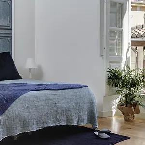 Duplex Lux Escudo Del Carmen Granada